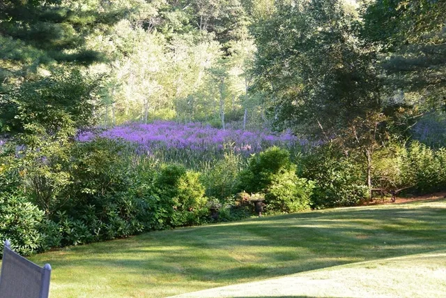 $2,988,000 | 46 Black Burnian Road, Weston, MA 02493