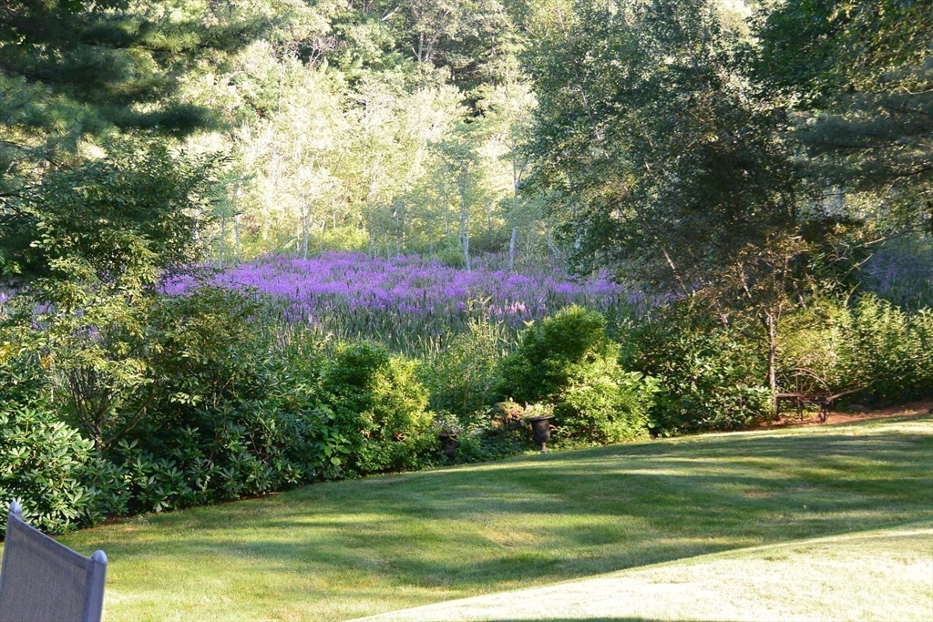 46 Black Burnian Road Weston, MA 02493 - Photo 7 of 42