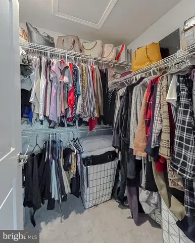 a view of walk in closet with clothes