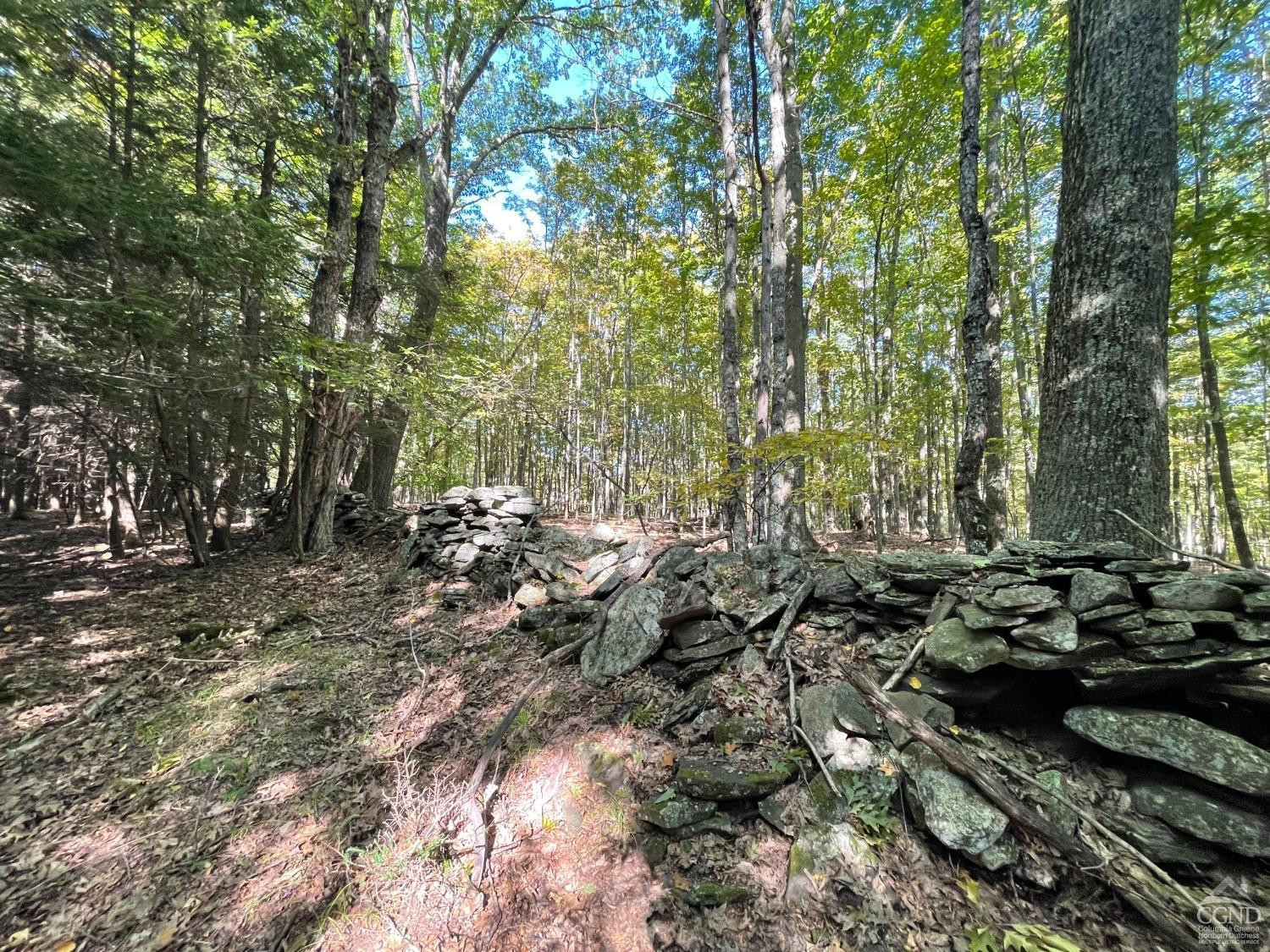 70 Begley Road Windham, NY 12496 - Photo 7 of 17 a view of a forest with lawn chairs