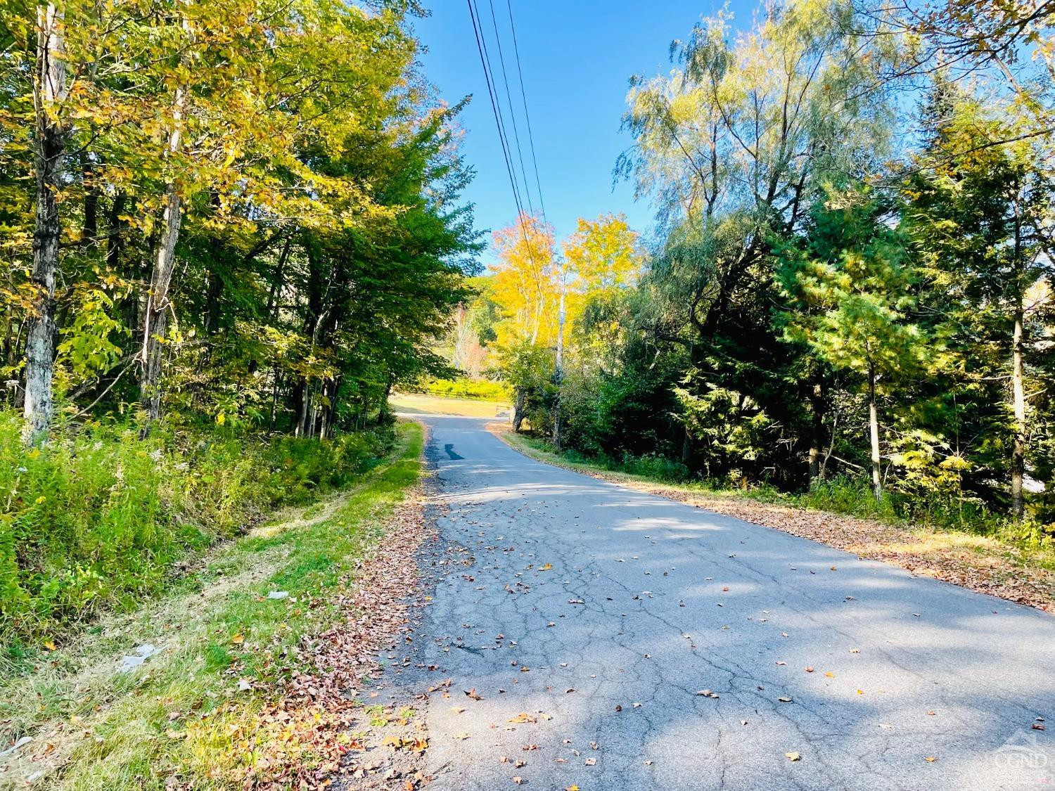 70 Begley Road Windham, NY 12496 - Photo 9 of 17 a view of a back yard of the house