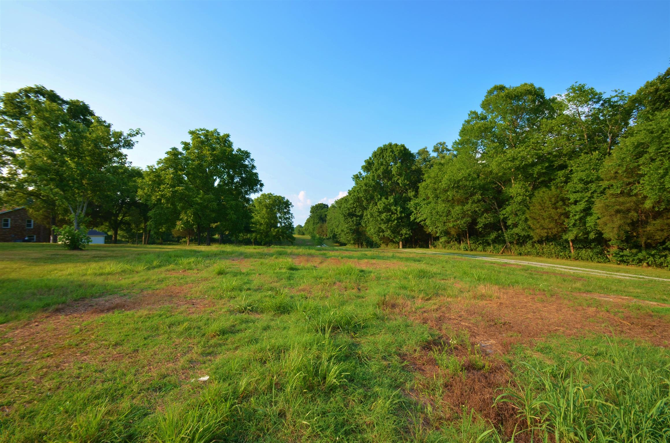 0 Vesta Road Lebanon, TN 37090 - Photo 1 of 5 a view of field with tall trees