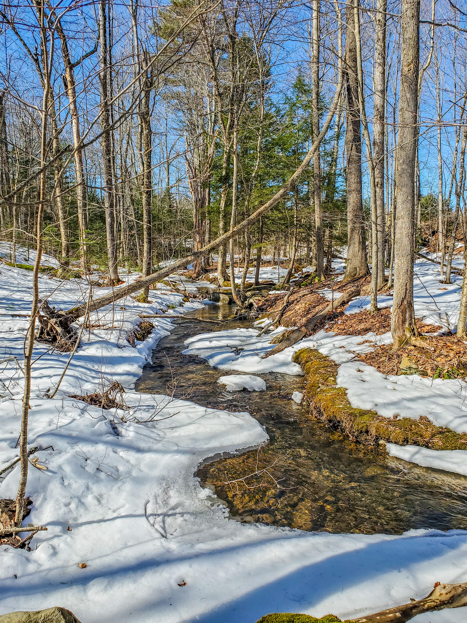 Lot 3-a1 Lot 3-a1 Prescott Road Manchester, ME 04351 - Photo 1 of 4 prescott-1