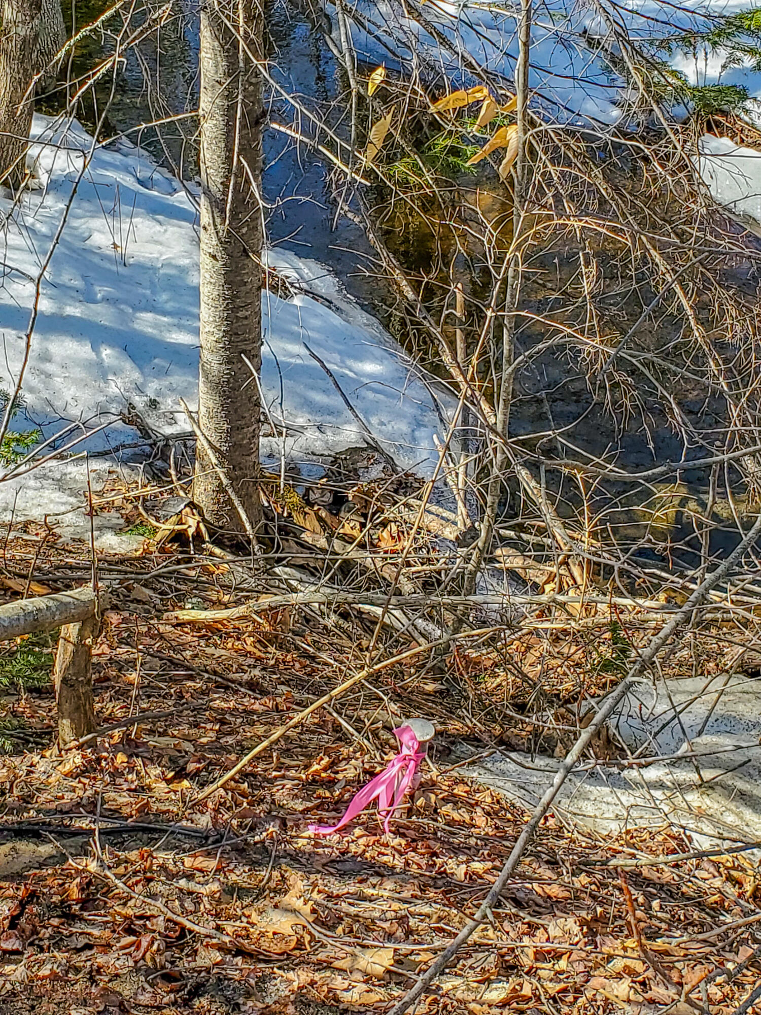 Lot 3-a1 Lot 3-a1 Prescott Road Manchester, ME 04351 - Photo 3 of 4 prescott-2