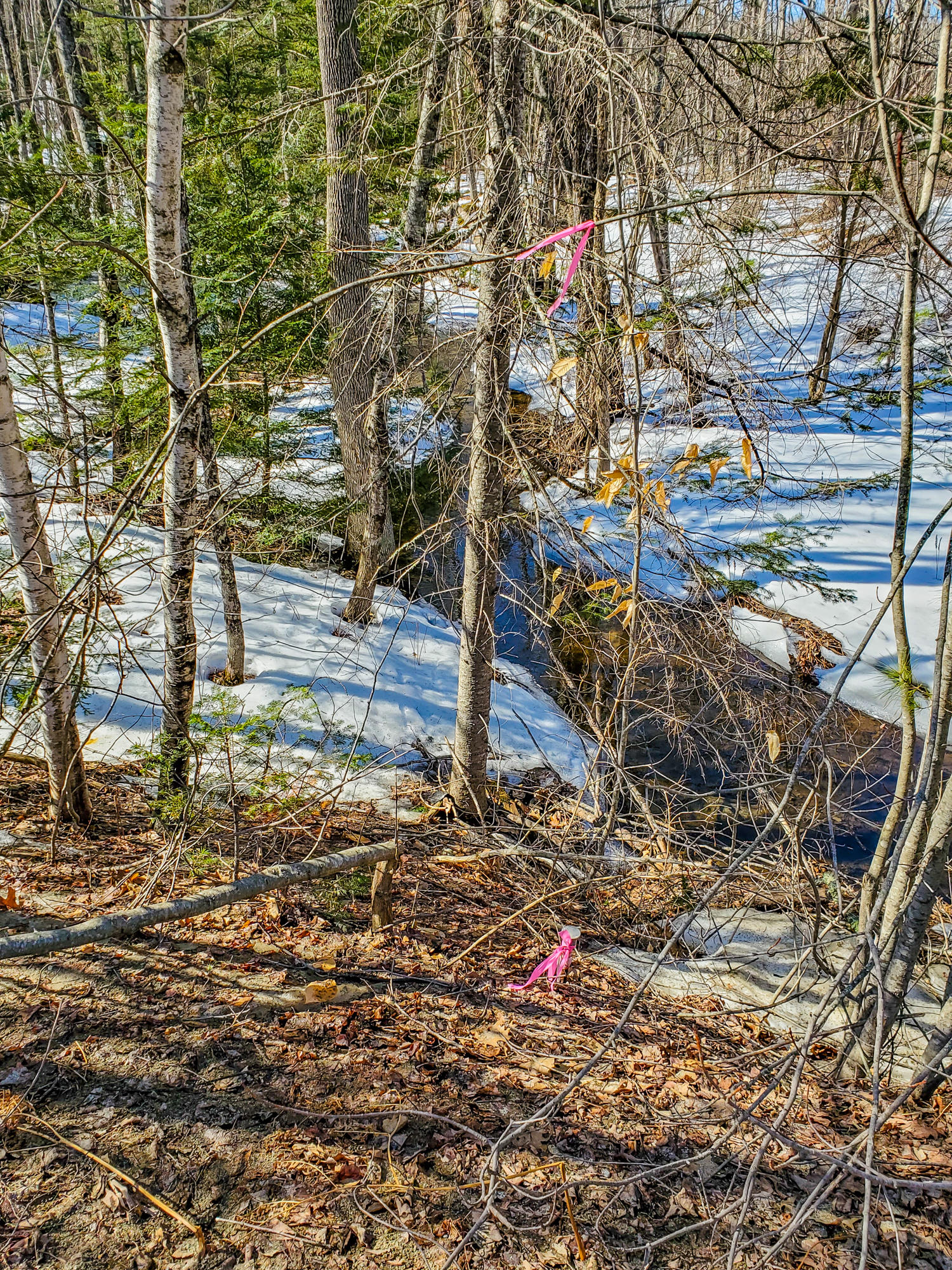 Lot 3-a1 Lot 3-a1 Prescott Road Manchester, ME 04351 - Photo 4 of 4 prescott-3