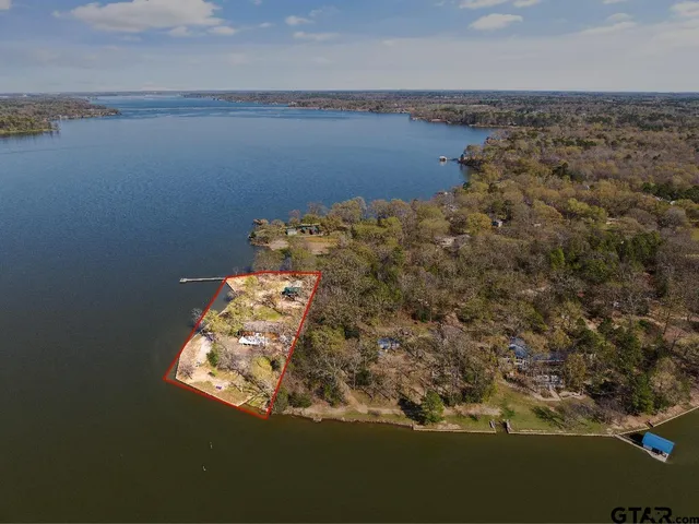 a view of a park with large trees