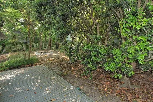 a view of a yard with plants and large trees