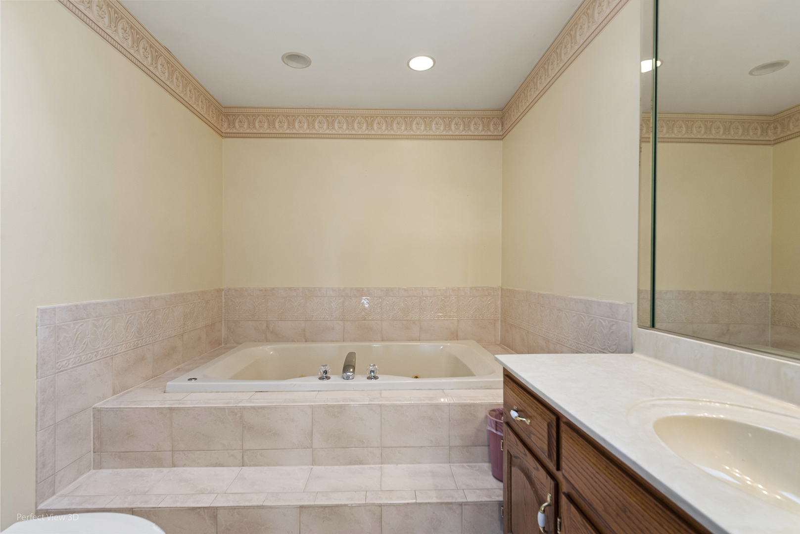 13172 Briar Patch Lane Lemont, IL 60439 - Photo 22 of 26 a bathroom with a bathtub and a sink