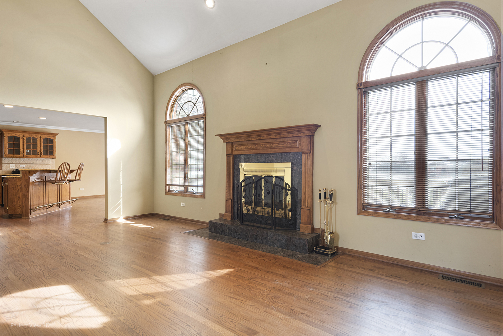 13172 Briar Patch Lane Lemont, IL 60439 - Photo 5 of 26 a view of an empty room with a fireplace and a window