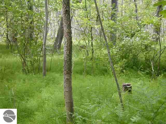 East Bellinger Road Cedar, MI 49621 - Photo 7 of 16
