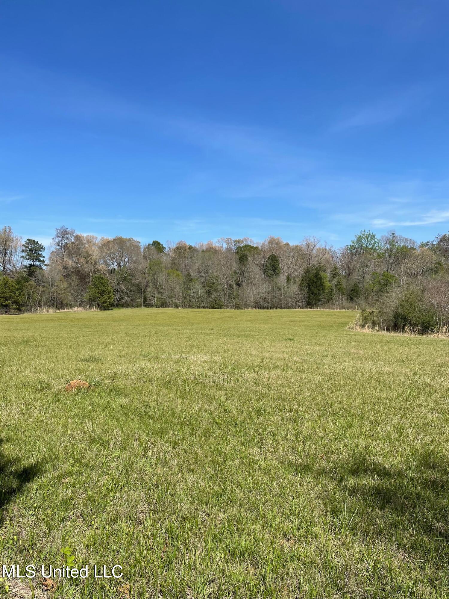 626 Haynes Chapel Road Pelahatchie, MS 39145 - Photo 11 of 18 IMG_1906