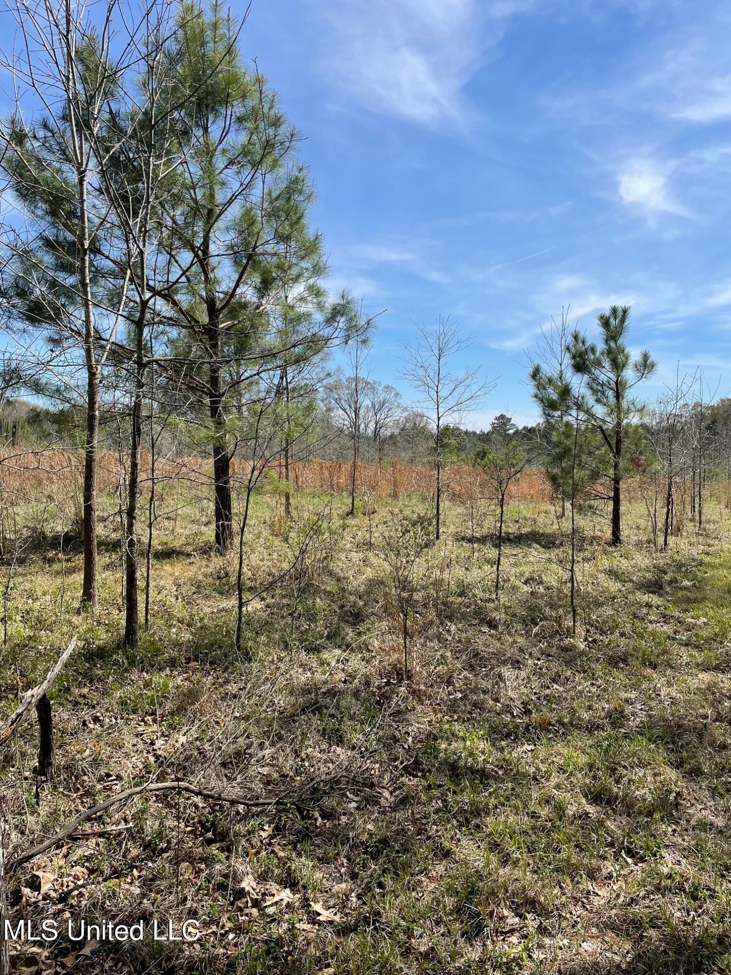 626 Haynes Chapel Road Pelahatchie, MS 39145 - Photo 14 of 18 IMG_1903