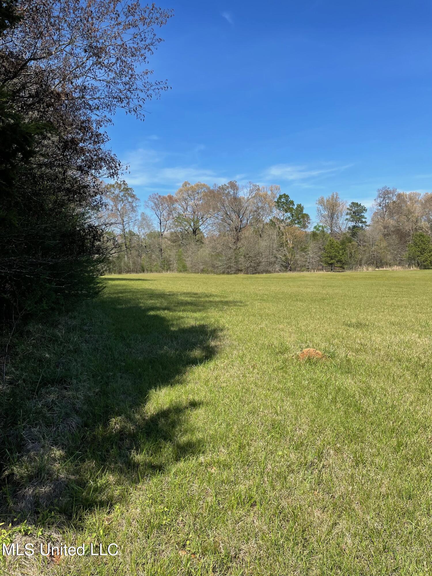 626 Haynes Chapel Road Pelahatchie, MS 39145 - Photo 16 of 18 IMG_1907