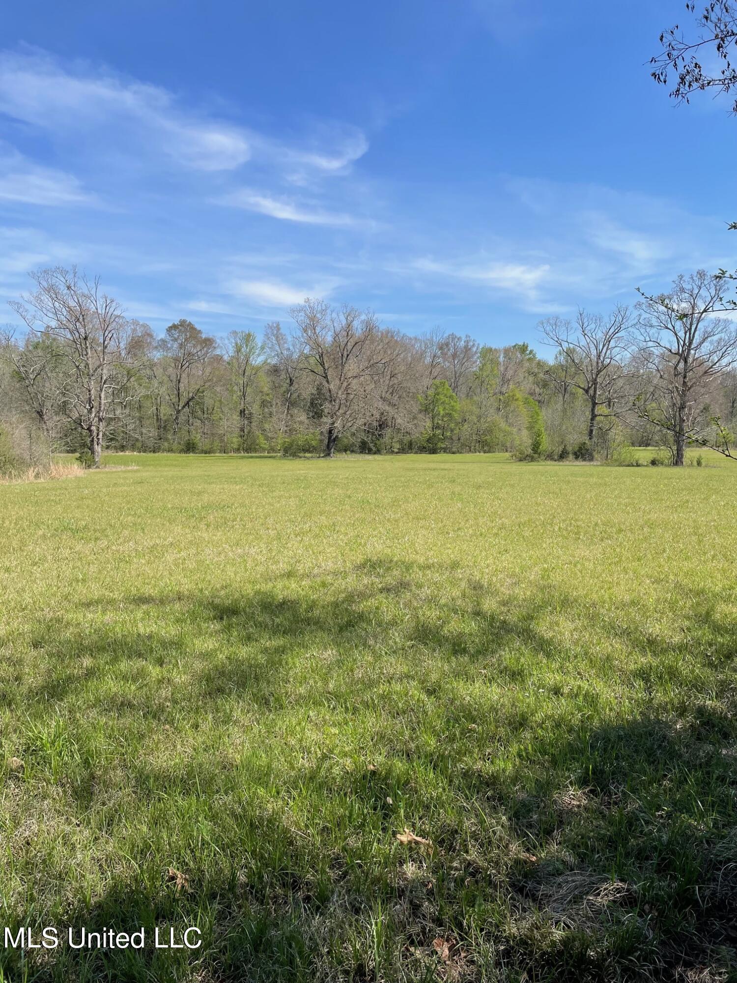 626 Haynes Chapel Road Pelahatchie, MS 39145 - Photo 4 of 18 IMG_1905