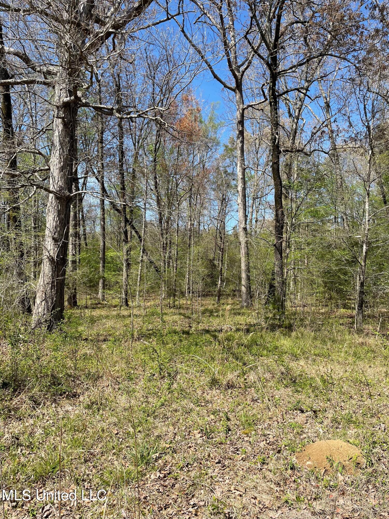 626 Haynes Chapel Road Pelahatchie, MS 39145 - Photo 7 of 18 IMG_1896