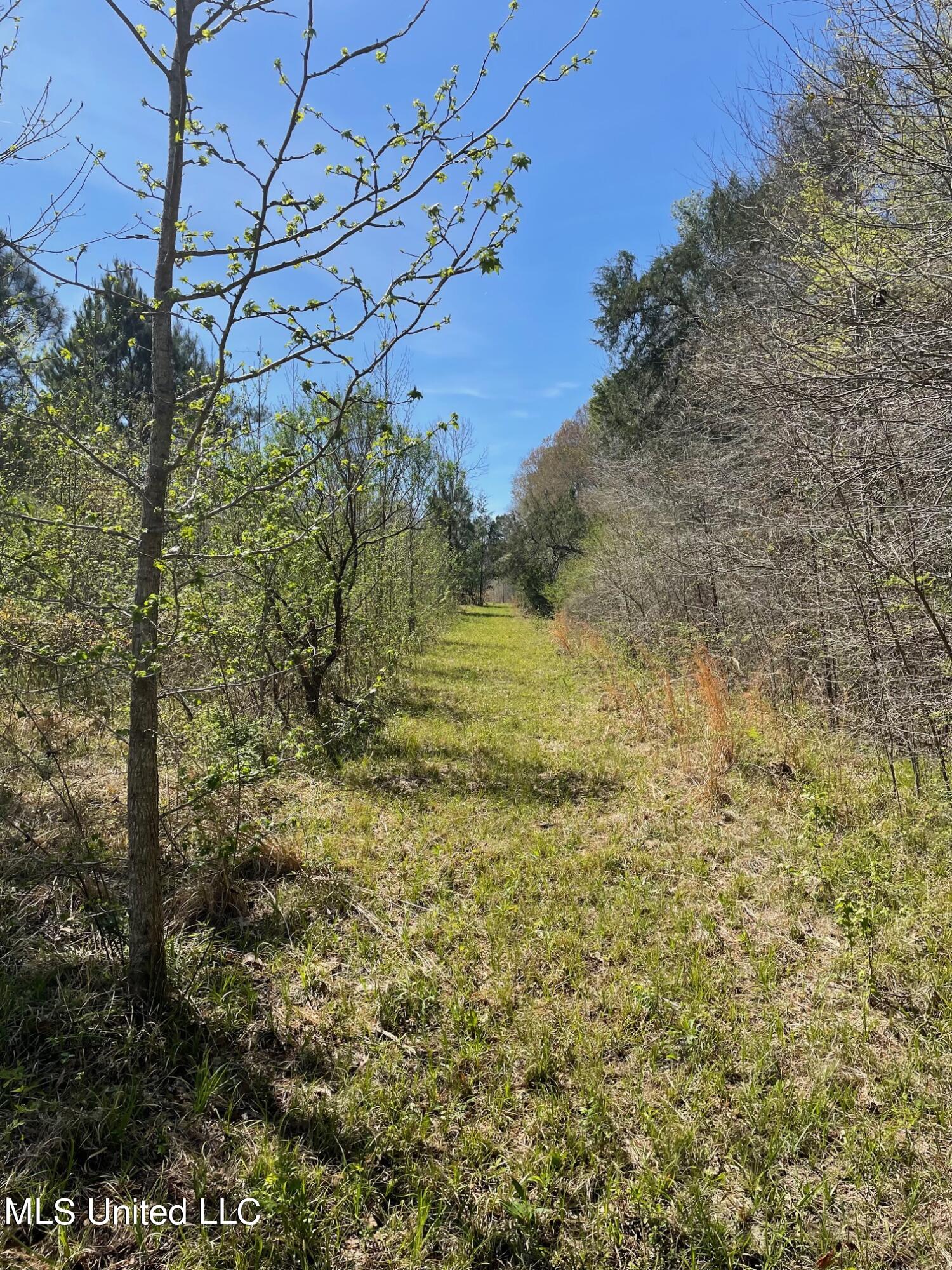 626 Haynes Chapel Road Pelahatchie, MS 39145 - Photo 8 of 18 IMG_1897