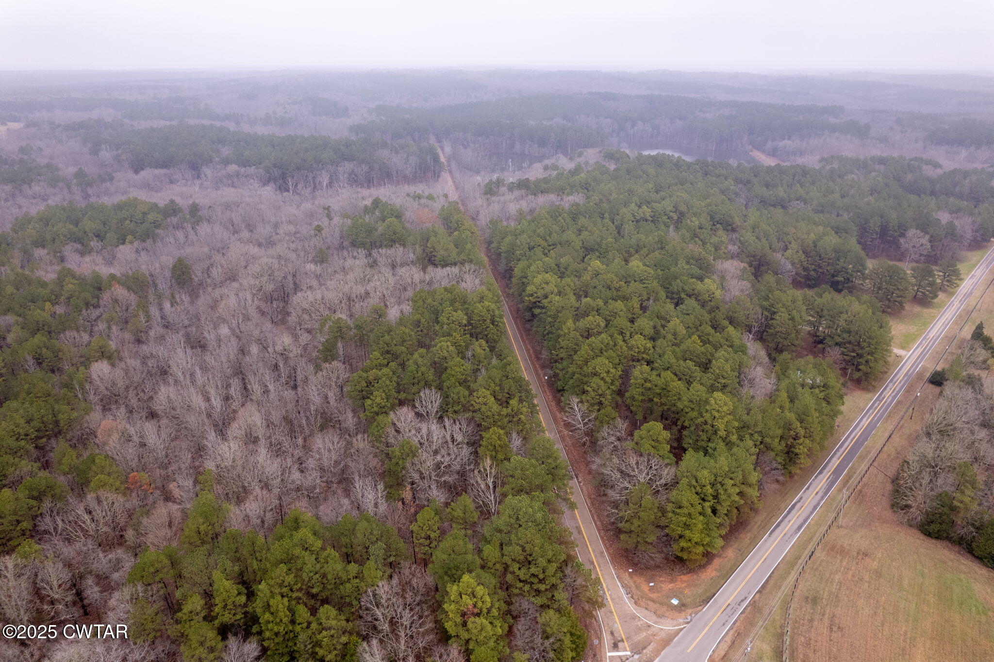 0 Sain Road Bolivar, TN 38008 - Photo 1 of 20 a view of a forest with a street