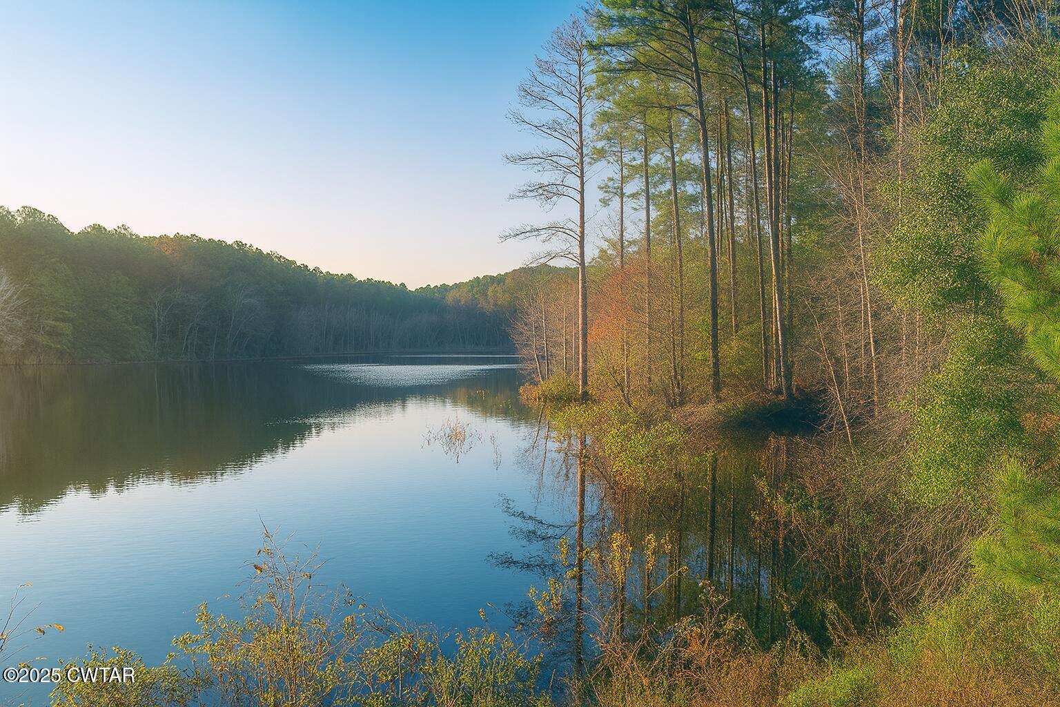 0 Sain Road Bolivar, TN 38008 - Photo 11 of 20 a view of lake