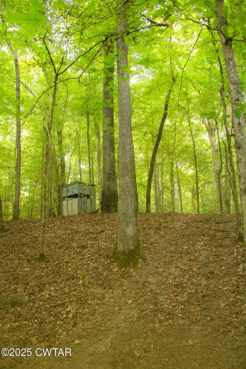 0 Sain Road Bolivar, TN 38008 - Photo 17 of 20 a view of garden
