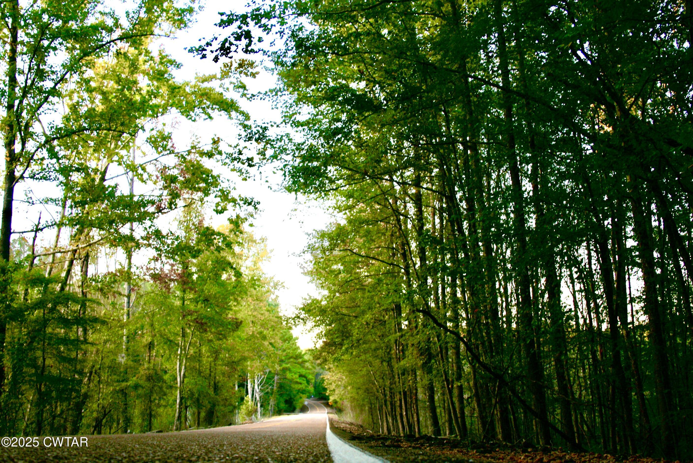0 Sain Road Bolivar, TN 38008 - Photo 20 of 20 a view of a forest