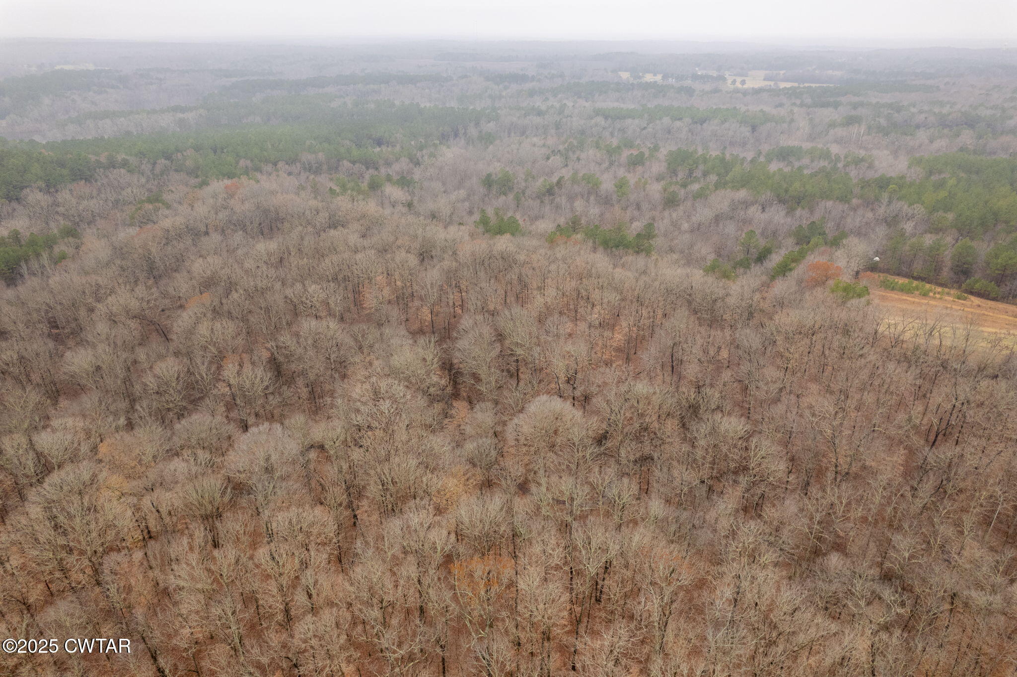 0 Sain Road Bolivar, TN 38008 - Photo 5 of 20