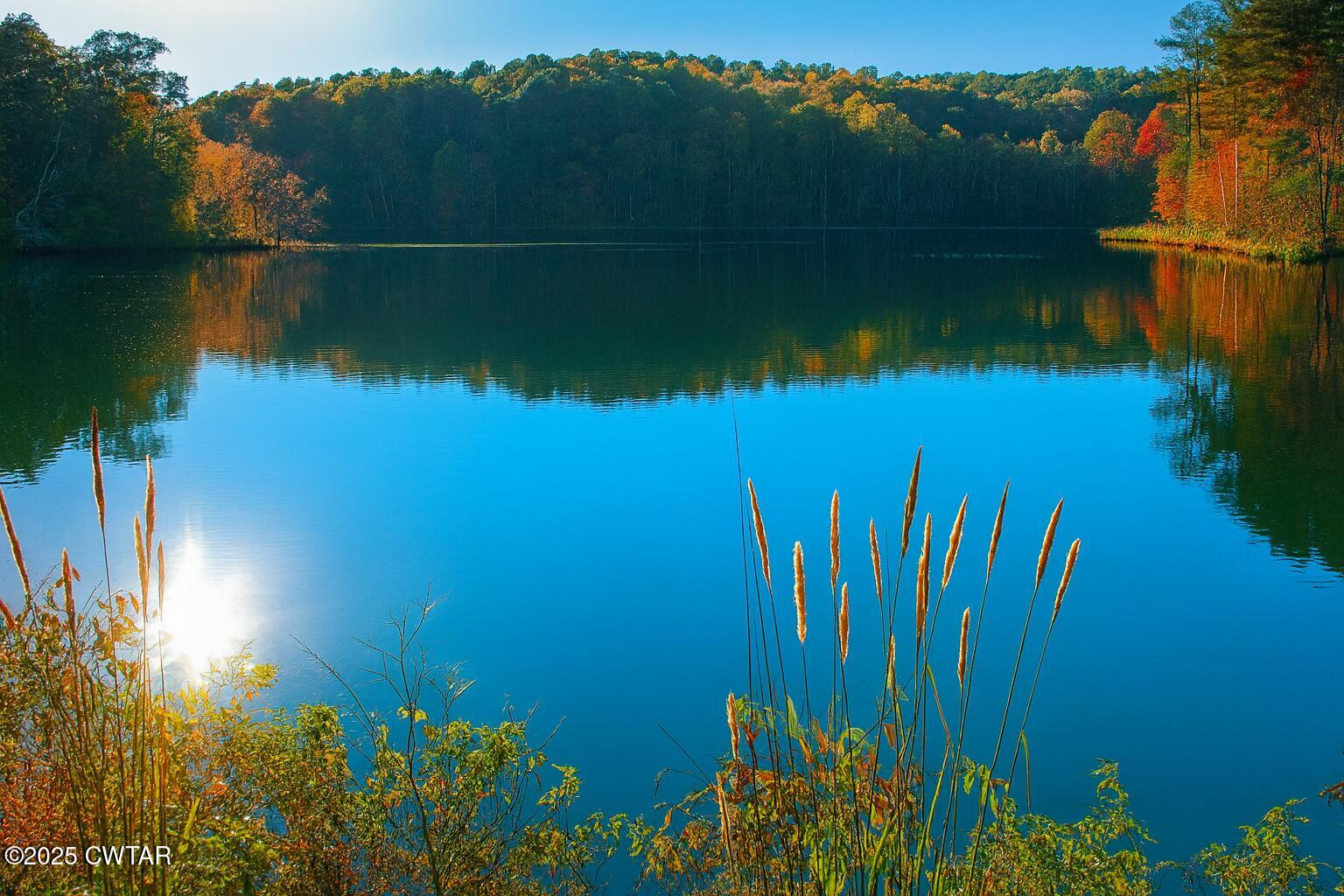 0 Sain Road Bolivar, TN 38008 - Photo 9 of 20 a view of lake