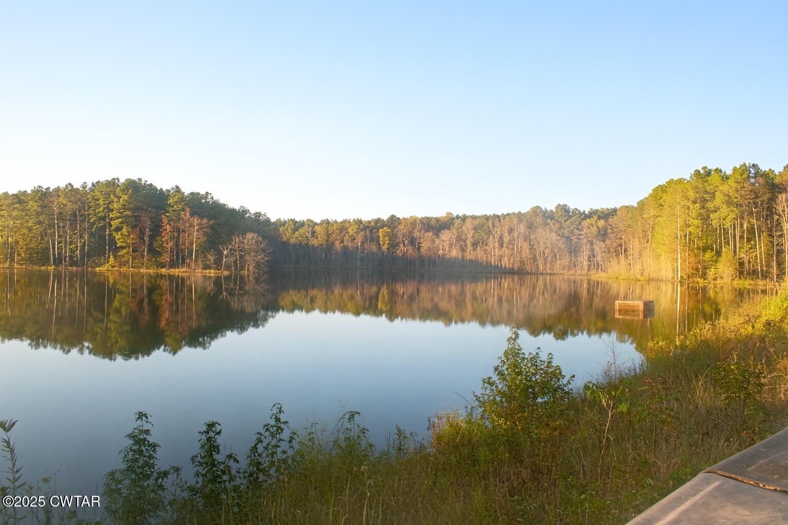 0 Sain Road Bolivar, TN 38008 - Photo 10 of 20 a view of lake with green landscape