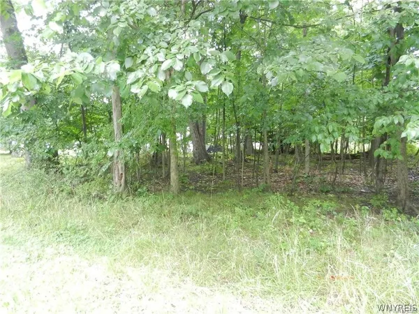 $12,000 | 9815 Redwing Street, Evans, NY 14006