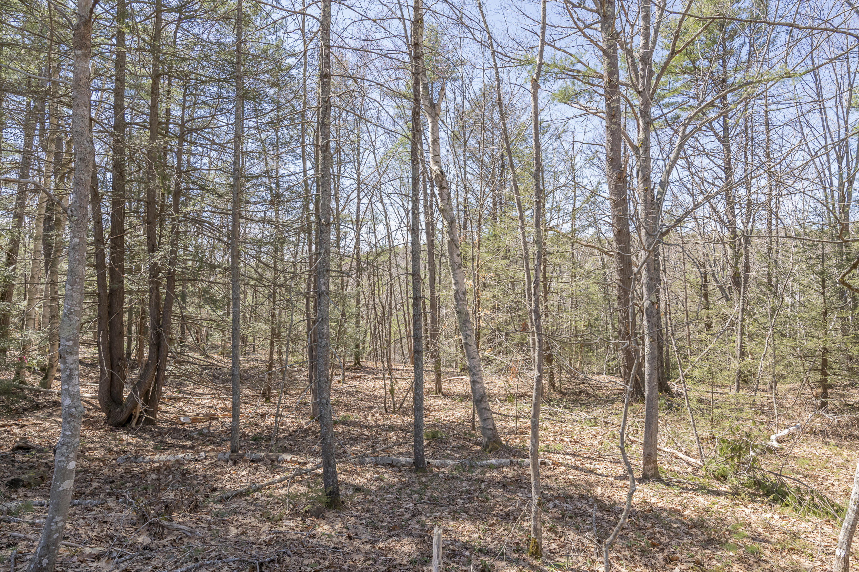 Lot 1 Ridge Road Bath, ME 04530 - Photo 2 of 3 GLM_0053