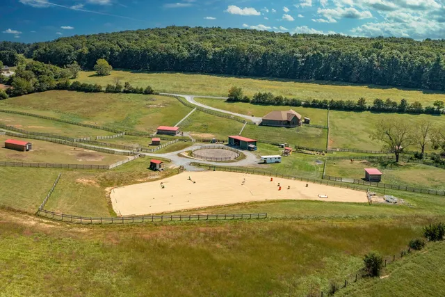 an aerial view of a house with big yard and large tree