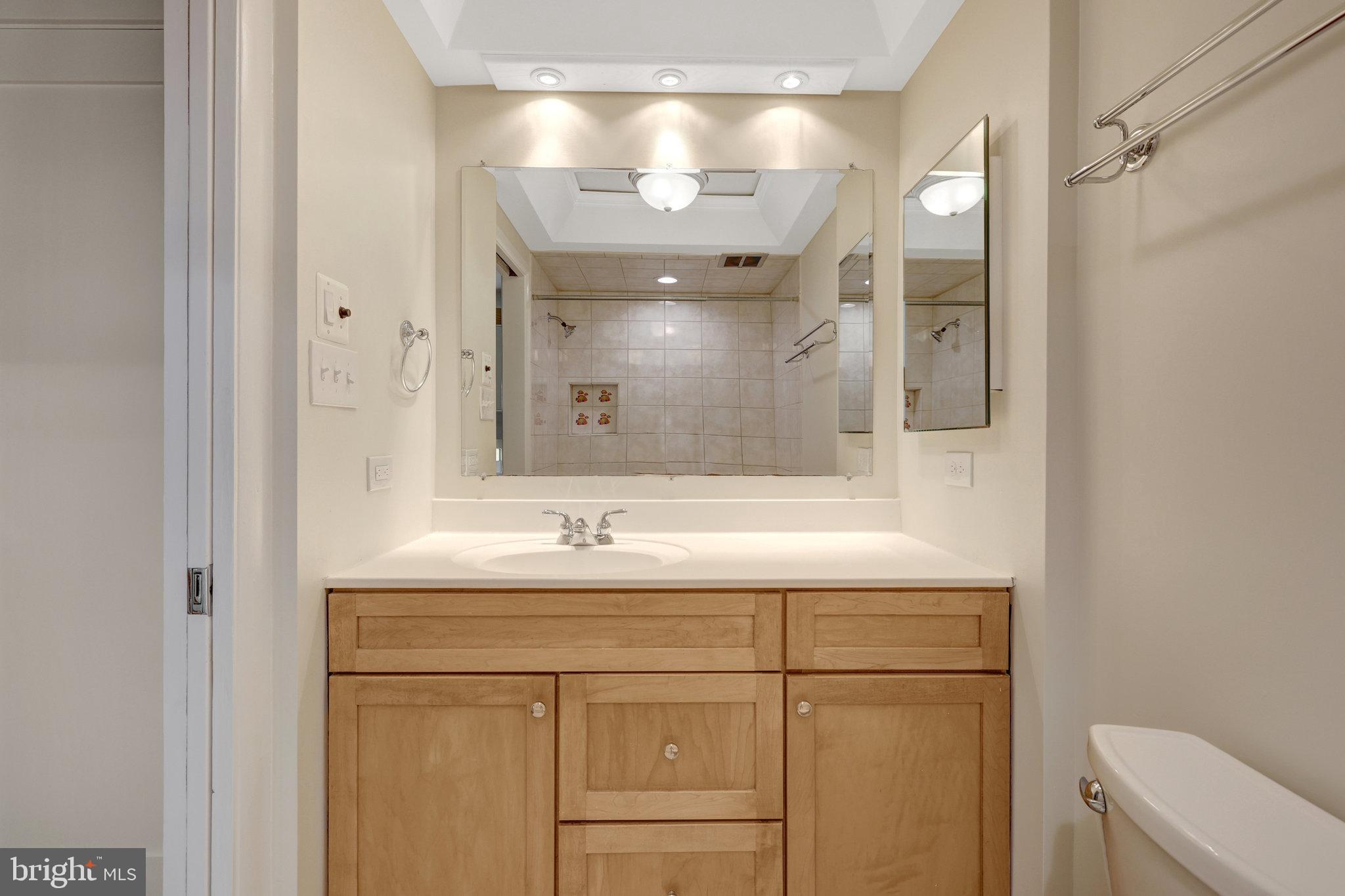 11136 Saffold Way Reston, VA 20190 - Photo 23 of 49 a bathroom with a sink and a mirror