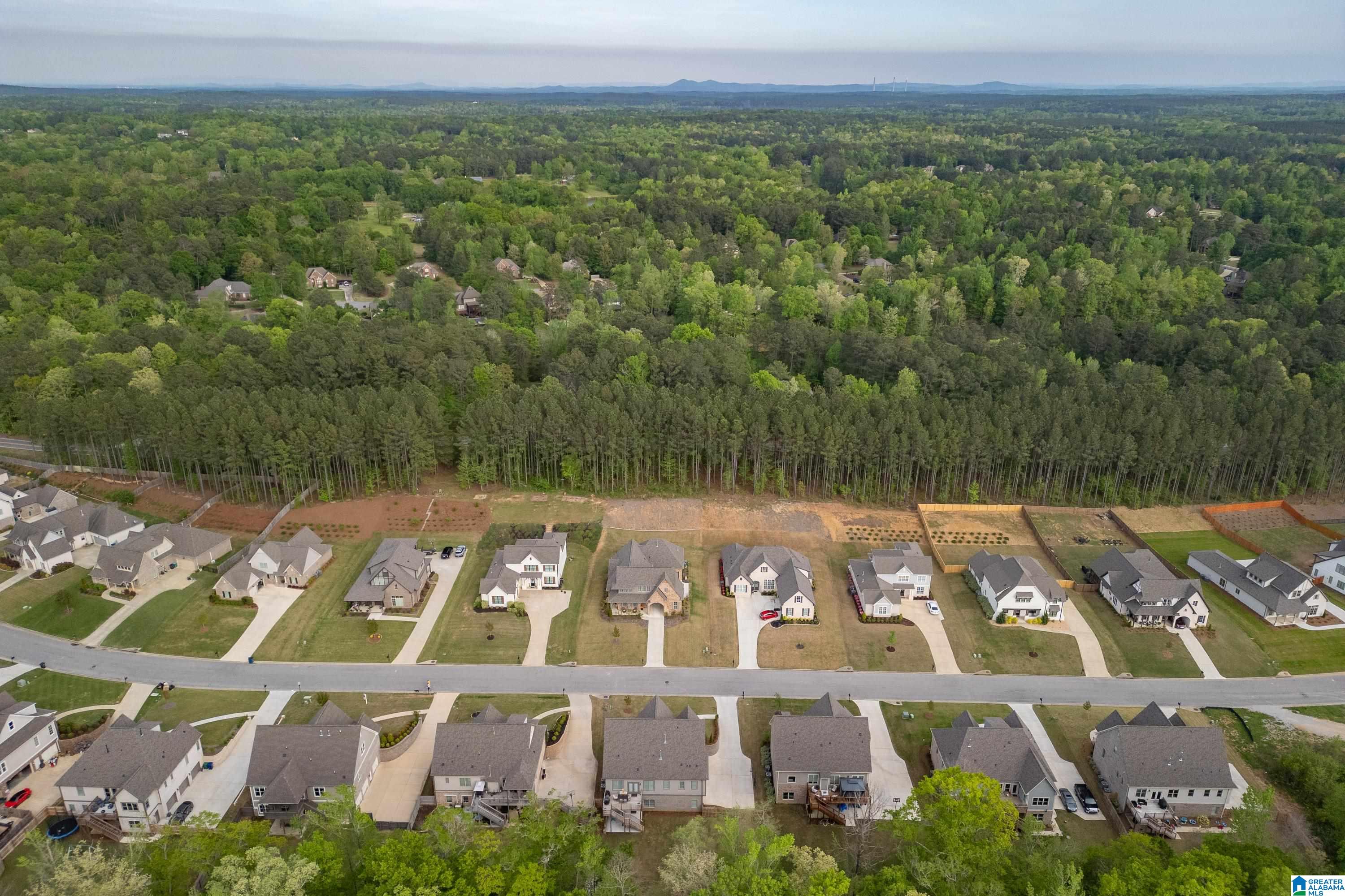 1222 Chelsea Pk Trail Chelsea, AL 35043 - Photo 62 of 71