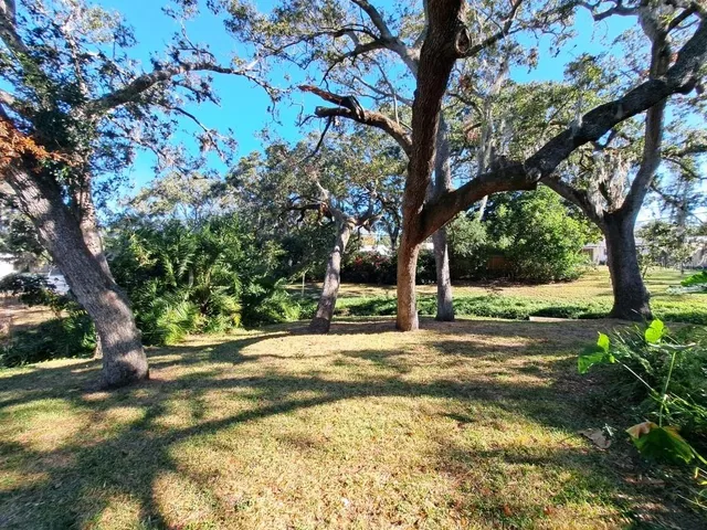 a view of backyard with green space