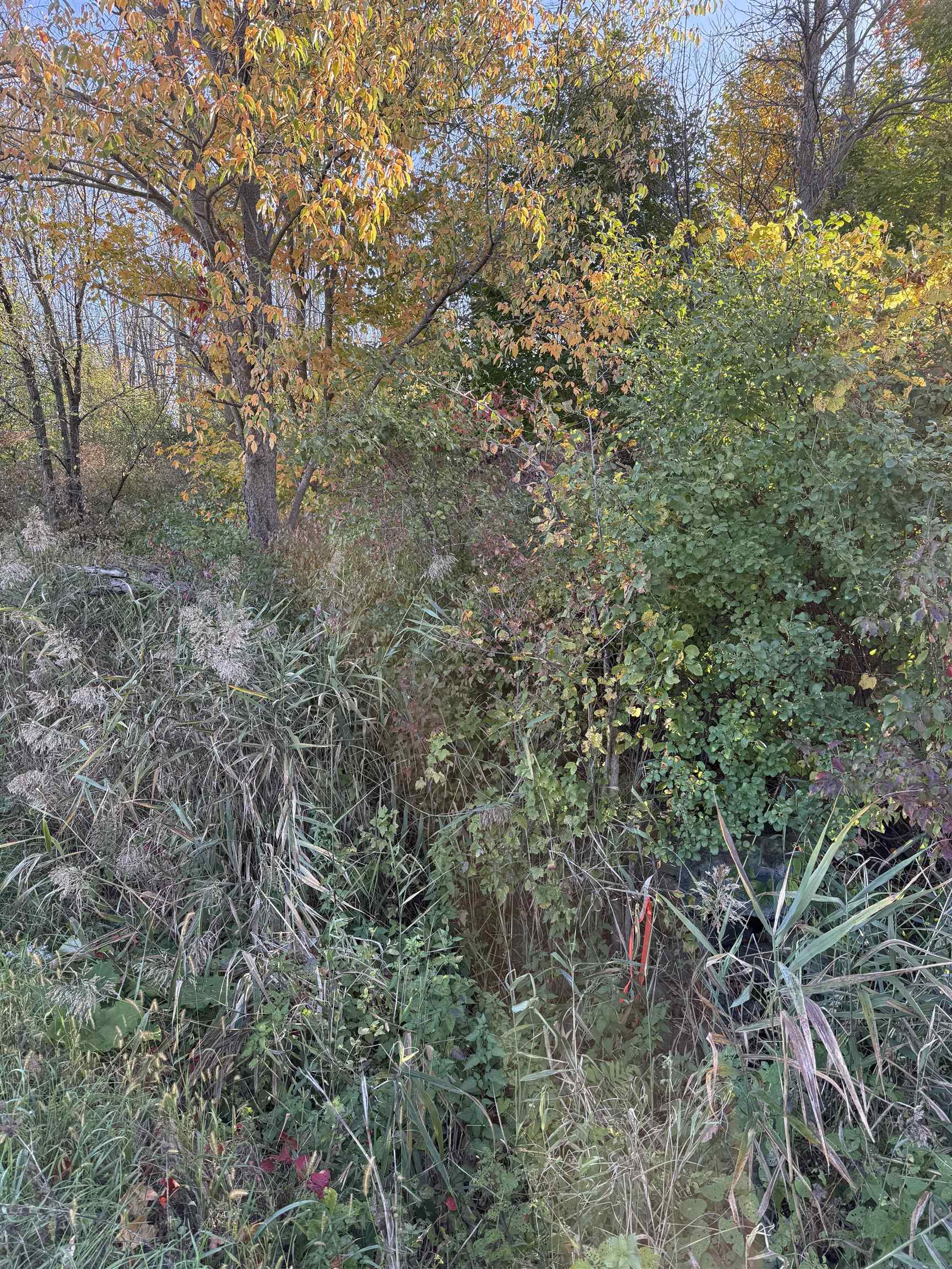 512 Middle Road Swanton, VT 05488 - Photo 3 of 4