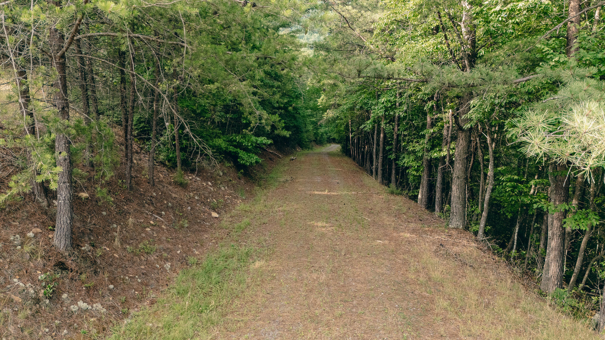 0 Sugar Tree Hollow Road Eagle Rock, VA 24085 - Photo 2 of 18 Miller pic 10