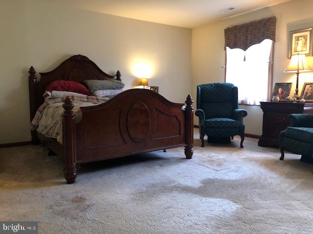 16610 Gaines Road Broad Run, VA 20137 - Photo 20 of 27 Bedroom