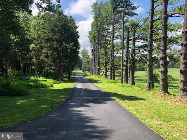 16610 Gaines Road Broad Run, VA 20137 - Photo 3 of 27 Driveway
