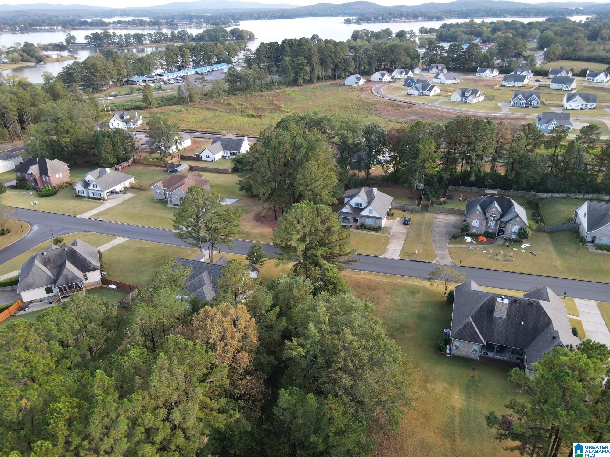 Lot 39 Homestead Drive, Unit 39 Springville, AL 35146 - Photo 2 of 2