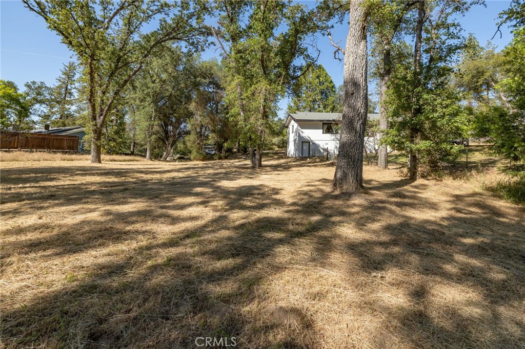 48866 Rock Point Road Oakhurst, CA 93644 - Photo 25 of 59