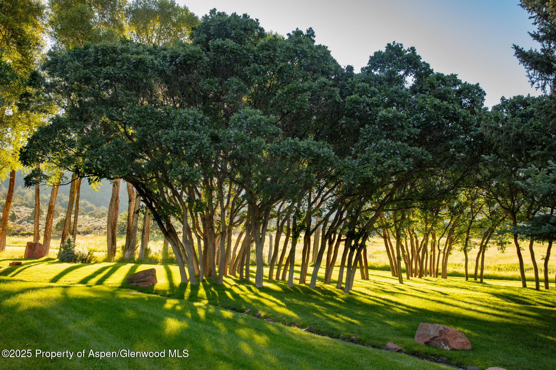 2147 Lower River Road Snowmass, CO 81654 - Photo 36 of 65 108A5694