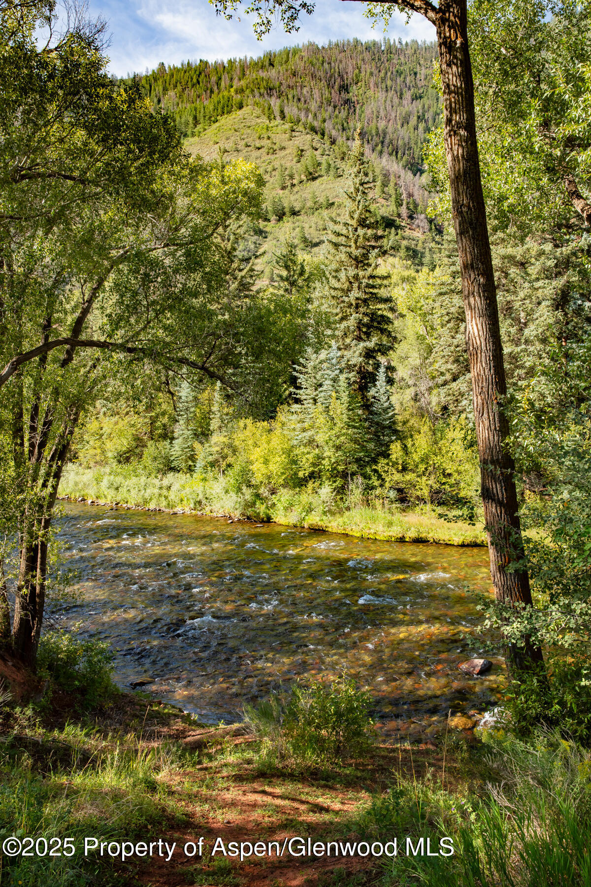 2147 Lower River Road Snowmass, CO 81654 - Photo 41 of 65 108A5820