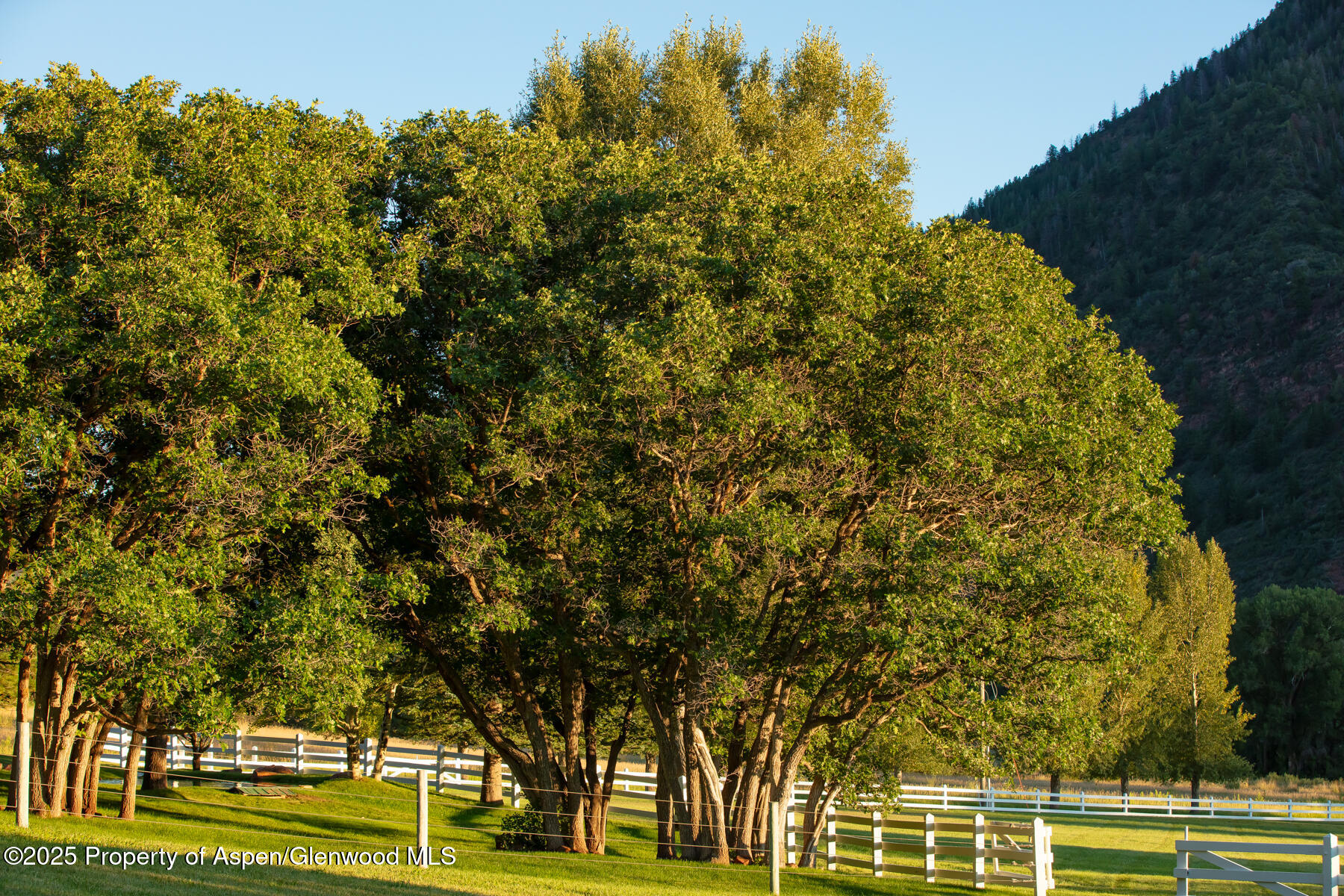2147 Lower River Road Snowmass, CO 81654 - Photo 63 of 65 108A5615