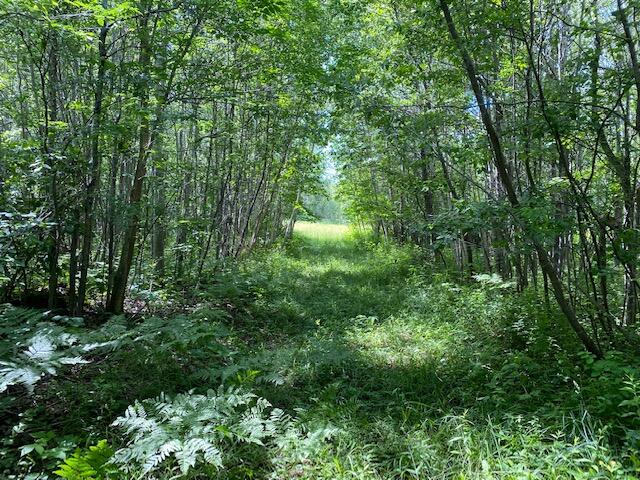 Drier Road Levering, MI 49755 - Photo 11 of 19