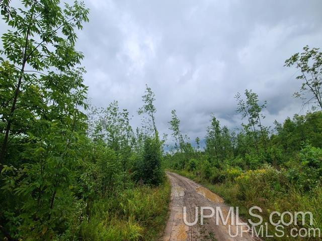 Tbd Bates-Amasa Road Iron River, MI 49935 - Photo 5 of 12