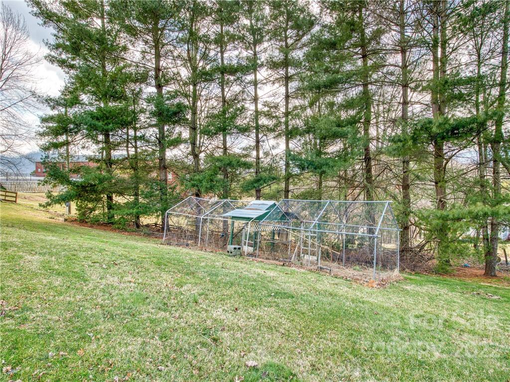 220 Center Pigeon Road Canton, NC 28716 - Photo 7 of 24 a view of yard with swimming pool and sitting area