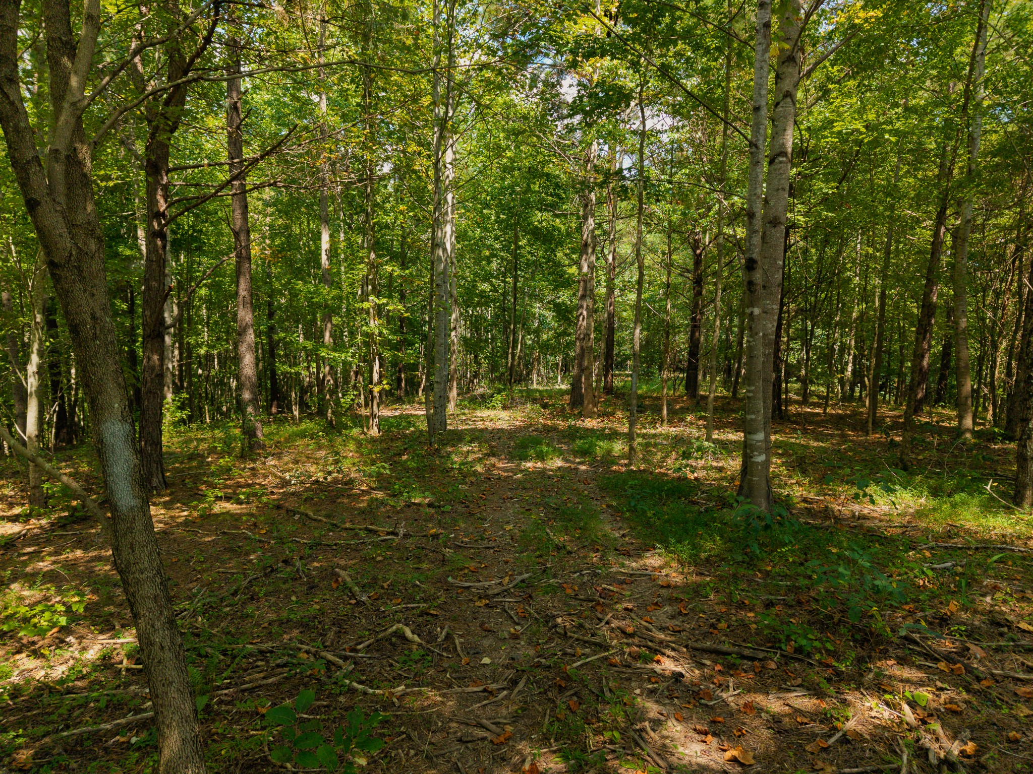 1241 Johnson Branch Road Pulaski, TN 38478 - Photo 78 of 91 Gallery Image 78