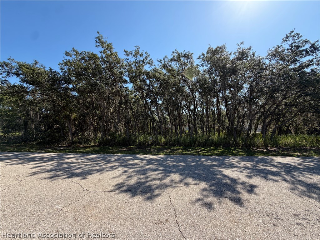 2813 North Monroe Road Avon Park, FL 33825 - Photo 2 of 5