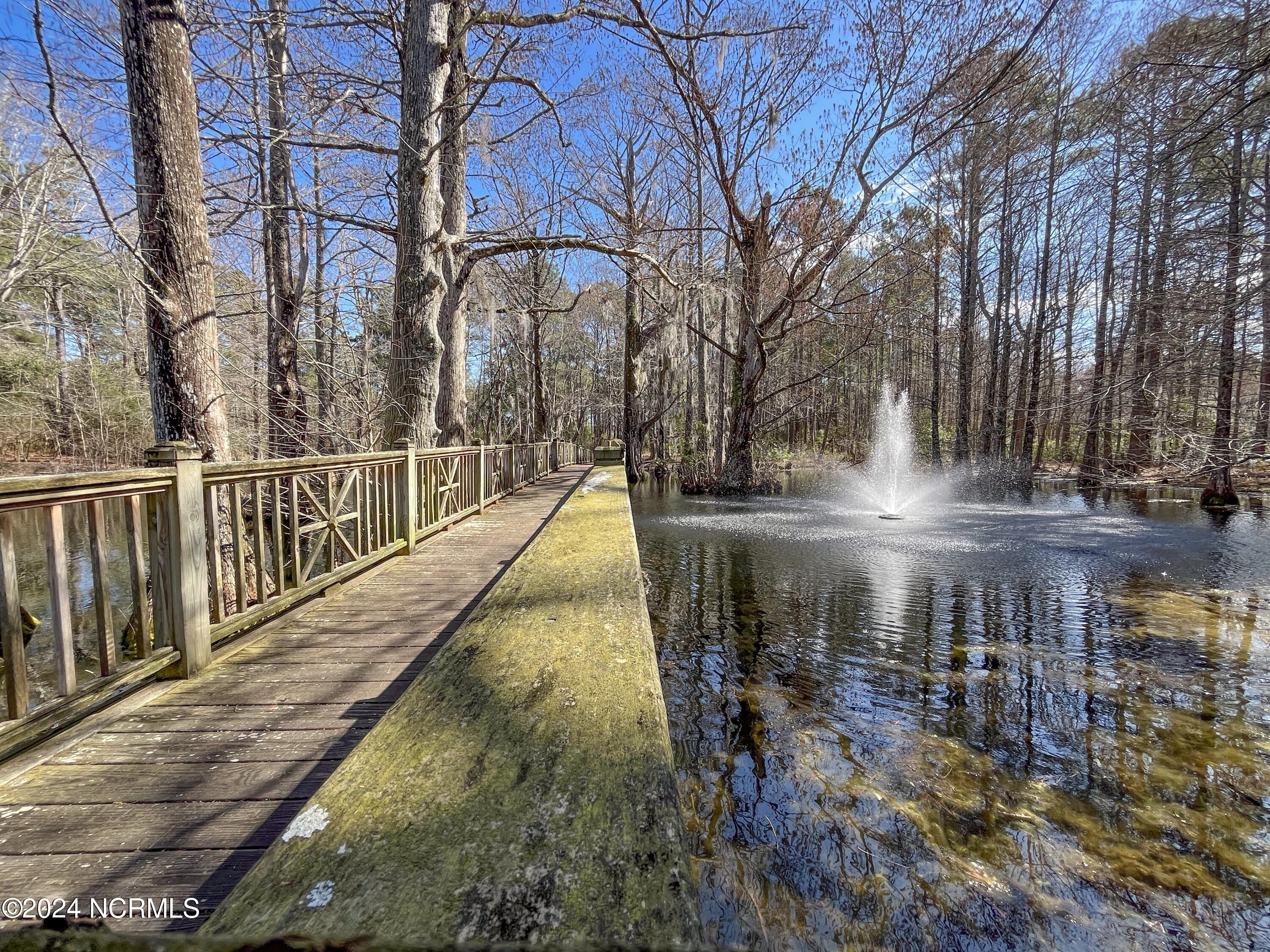 227 Hydrangea Lane Hampstead, NC 28443 - Photo 38 of 40 38