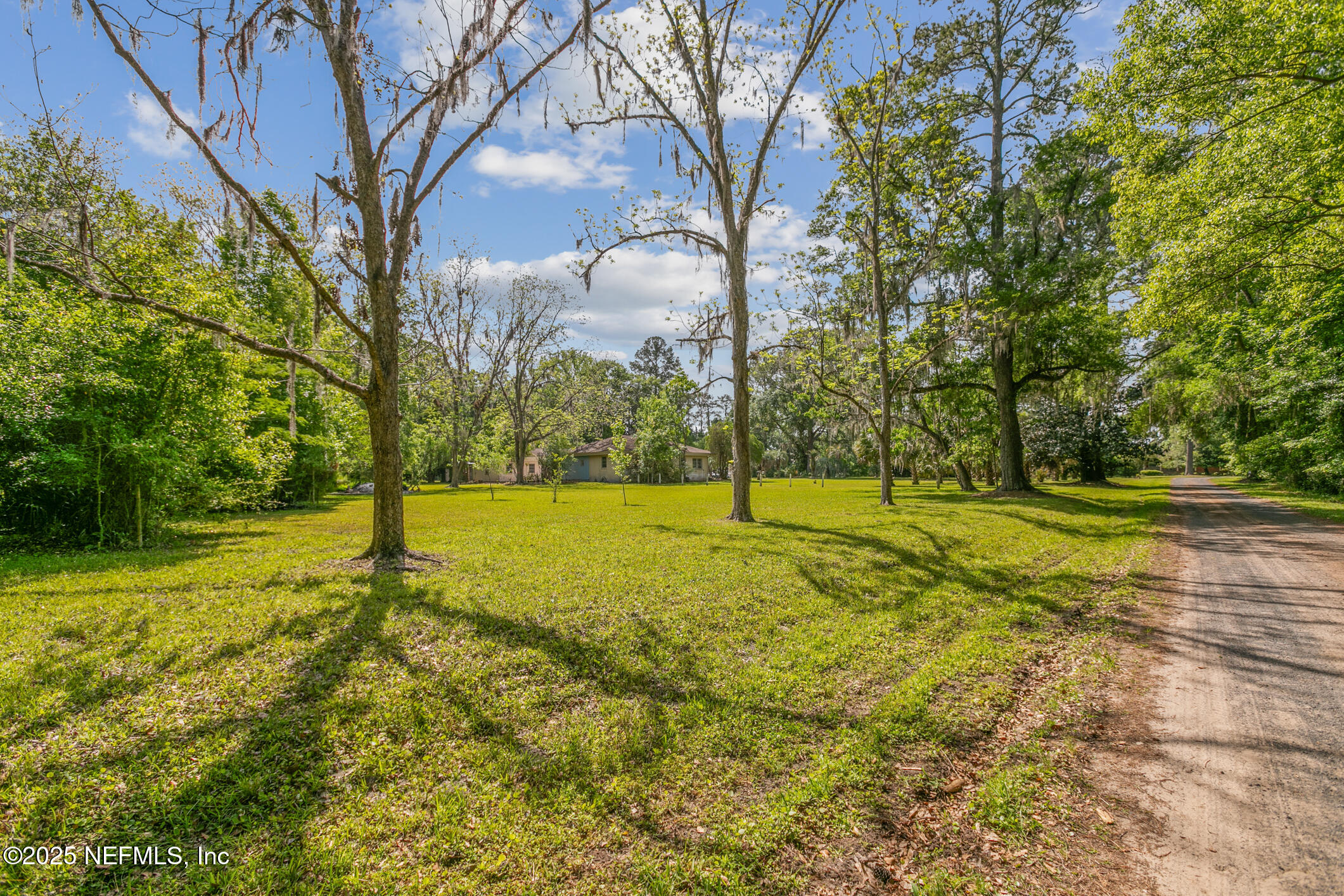 45121 Stratton Road Callahan, FL 32011 - Photo 17 of 24 a view of yard with tree