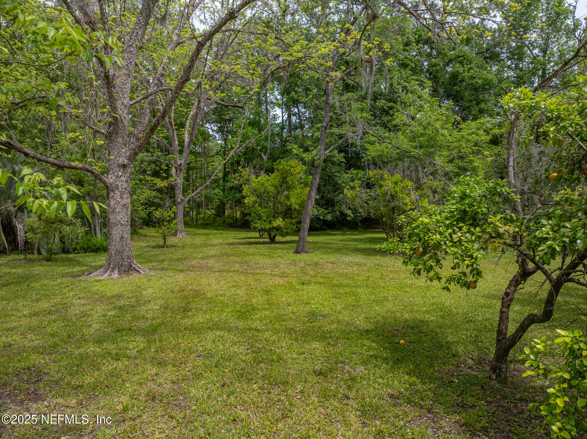 45121 Stratton Road Callahan, FL 32011 - Photo 20 of 24 a view of outdoor space with deck and yard